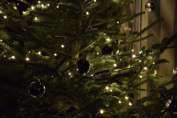 Weihnachtsbaum im Weihnachtsdorf der FEINGUSS BLANK